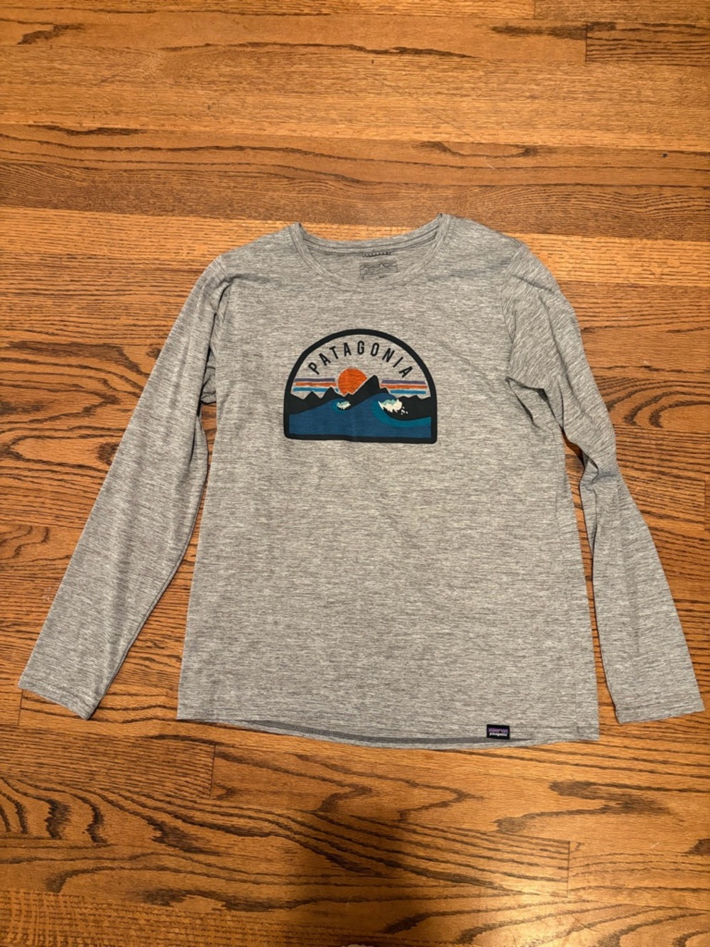 Patagonia Gray Long-Sleeve Tee with Sunset Mountain Graphic